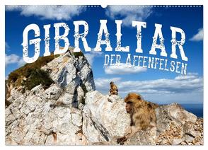 Gibraltar – der Affenfelsen (Wandkalender 2024 DIN A2 quer), CALVENDO Monatskalender von Buchspies,  Carina
