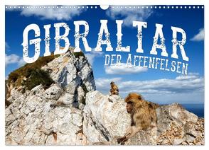 Gibraltar – der Affenfelsen (Wandkalender 2024 DIN A3 quer), CALVENDO Monatskalender von Buchspies,  Carina