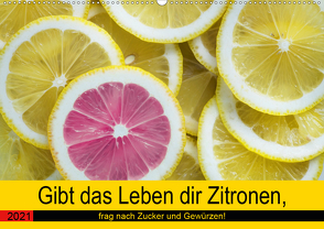 Gibt das Leben dir Zitronen, frag nach Zucker und Gewürzen! (Wandkalender 2021 DIN A2 quer) von Hurley,  Rose