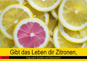 Gibt das Leben dir Zitronen, frag nach Zucker und Gewürzen! (Wandkalender 2023 DIN A2 quer) von Hurley,  Rose