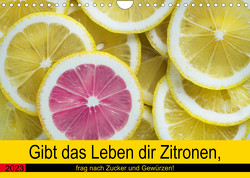 Gibt das Leben dir Zitronen, frag nach Zucker und Gewürzen! (Wandkalender 2023 DIN A4 quer) von Hurley,  Rose