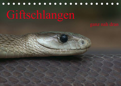 Giftschlangen, ganz nah dran (Tischkalender 2023 DIN A5 quer) von Enkemeier,  Sigrid