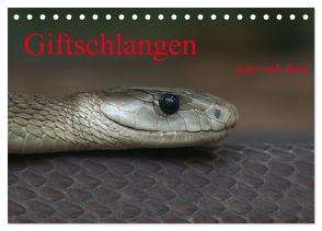 Giftschlangen, ganz nah dran (Tischkalender 2024 DIN A5 quer), CALVENDO Monatskalender von Enkemeier,  Sigrid