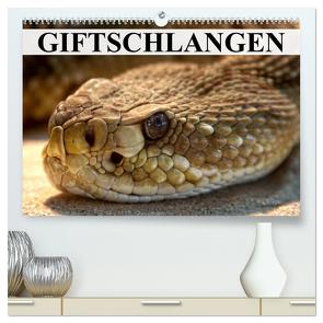 Giftschlangen (hochwertiger Premium Wandkalender 2024 DIN A2 quer), Kunstdruck in Hochglanz von Stanzer,  Elisabeth