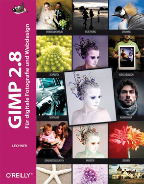 Gimp 2.8 von Lechner,  Bettina K.