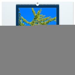 Ginkgo (hochwertiger Premium Wandkalender 2024 DIN A2 hoch), Kunstdruck in Hochglanz von Jäger,  Anette