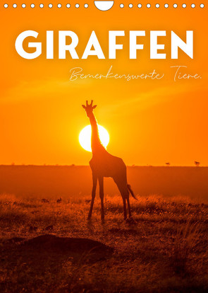Giraffe – Bemerkenswerte Tiere. (Wandkalender 2023 DIN A4 hoch) von SF