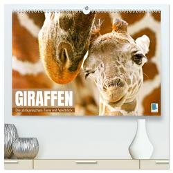 Giraffen: die afrikanischen Tiere mit Weitblick (hochwertiger Premium Wandkalender 2024 DIN A2 quer), Kunstdruck in Hochglanz von CALVENDO,  CALVENDO