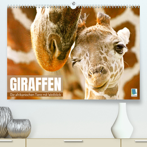 Giraffen: die afrikanischen Tiere mit Weitblick (Premium, hochwertiger DIN A2 Wandkalender 2023, Kunstdruck in Hochglanz) von CALVENDO