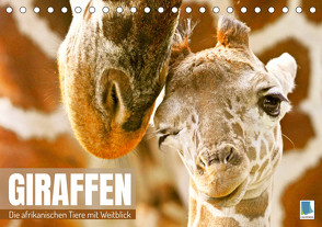 Giraffen: die afrikanischen Tiere mit Weitblick (Tischkalender 2023 DIN A5 quer) von CALVENDO