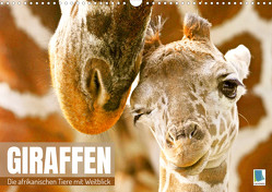 Giraffen: die afrikanischen Tiere mit Weitblick (Wandkalender 2023 DIN A3 quer) von CALVENDO