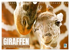 Giraffen: die afrikanischen Tiere mit Weitblick (Wandkalender 2024 DIN A4 quer), CALVENDO Monatskalender von CALVENDO,  CALVENDO