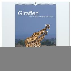 Giraffen – Die Grazien in Afrikas Savannen (hochwertiger Premium Wandkalender 2024 DIN A2 hoch), Kunstdruck in Hochglanz von Tewes,  Rainer