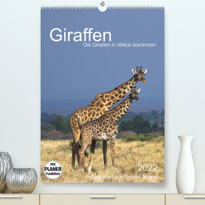 Giraffen – Die Grazien in Afrikas Savannen (Premium, hochwertiger DIN A2 Wandkalender 2022, Kunstdruck in Hochglanz) von Tewes,  Rainer