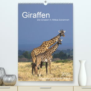 Giraffen – Die Grazien in Afrikas Savannen (Premium, hochwertiger DIN A2 Wandkalender 2020, Kunstdruck in Hochglanz) von Tewes,  Rainer