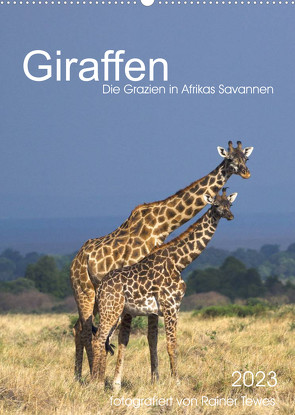 Giraffen – Die Grazien in Afrikas Savannen (Wandkalender 2023 DIN A2 hoch) von Tewes,  Rainer