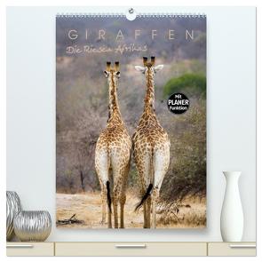 Giraffen – Die Riesen Afrikas (hochwertiger Premium Wandkalender 2024 DIN A2 hoch), Kunstdruck in Hochglanz von Pavlowsky Photography,  Markus