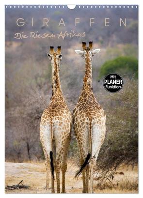 Giraffen – Die Riesen Afrikas (Wandkalender 2024 DIN A3 hoch), CALVENDO Monatskalender von Pavlowsky Photography,  Markus