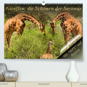 Giraffen, die Schönen der Savanne (Premium, hochwertiger DIN A2 Wandkalender 2023, Kunstdruck in Hochglanz) von Schwerin,  Heinz-Peter