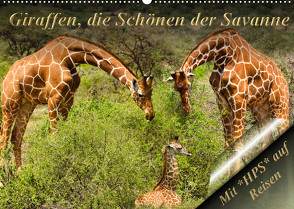 Giraffen, die Schönen der Savanne (Wandkalender 2023 DIN A2 quer) von Schwerin,  Heinz-Peter