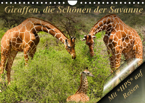 Giraffen, die Schönen der Savanne (Wandkalender 2023 DIN A4 quer) von Schwerin,  Heinz-Peter