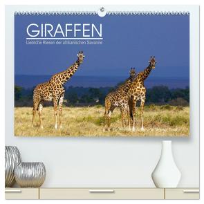 GIRAFFEN – Liebliche Riesen der afrikanischen Savanne (hochwertiger Premium Wandkalender 2024 DIN A2 quer), Kunstdruck in Hochglanz von Tewes,  Rainer