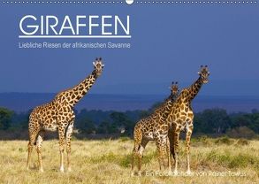 GIRAFFEN – Liebliche Riesen der afrikanischen Savanne (Wandkalender 2018 DIN A2 quer) von Tewes,  Rainer