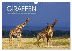 GIRAFFEN – Liebliche Riesen der afrikanischen Savanne (Wandkalender 2024 DIN A4 quer), CALVENDO Monatskalender von Tewes,  Rainer
