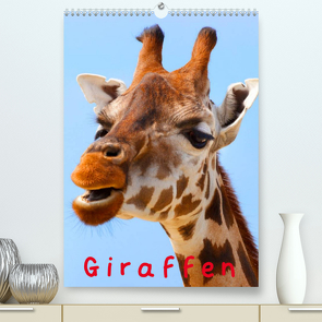 Giraffen (Premium, hochwertiger DIN A2 Wandkalender 2023, Kunstdruck in Hochglanz) von Stanzer,  Elisabeth