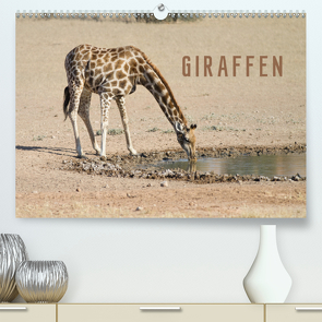Giraffen (Premium, hochwertiger DIN A2 Wandkalender 2020, Kunstdruck in Hochglanz) von Pavlowsky Photography,  Markus