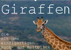 Giraffen – Tiere mit dem einzigartigen Hoch- und Weitblick (Wandkalender 2022 DIN A2 quer) von r.siemer@bremen.de,  rsiemer