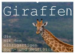 Giraffen – Tiere mit dem einzigartigen Hoch- und Weitblick (Wandkalender 2024 DIN A2 quer), CALVENDO Monatskalender von rsiemer,  rsiemer
