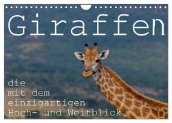 Giraffen – Tiere mit dem einzigartigen Hoch- und Weitblick (Wandkalender 2024 DIN A4 quer), CALVENDO Monatskalender von rsiemer,  rsiemer
