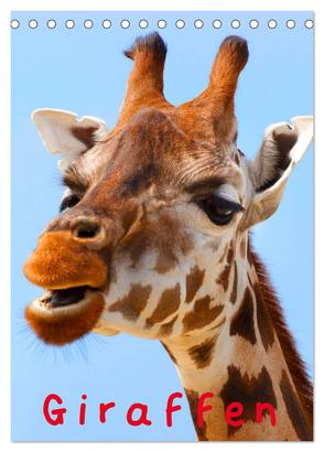 Giraffen (Tischkalender 2024 DIN A5 hoch), CALVENDO Monatskalender von Stanzer,  Elisabeth