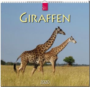 Giraffen von Redaktion Verlagshaus Würzburg,  Bildagentur