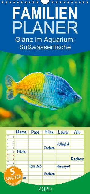 Glanz im Aquarium: Süßwasserfische – Familienplaner hoch (Wandkalender 2020 , 21 cm x 45 cm, hoch) von CALVENDO