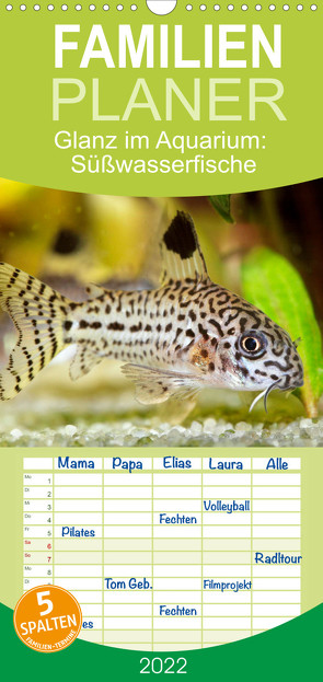 Familienplaner Glanz im Aquarium: Süßwasserfische (Wandkalender 2022 , 21 cm x 45 cm, hoch) von CALVENDO