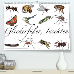 Gliederfüßer und Insekten (Premium, hochwertiger DIN A2 Wandkalender 2023, Kunstdruck in Hochglanz) von Conrad,  Ralf