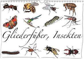 Gliederfüßer und Insekten (Wandkalender 2019 DIN A4 quer) von Conrad,  Ralf