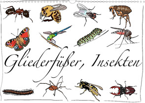 Gliederfüßer und Insekten (Wandkalender 2023 DIN A3 quer) von Conrad,  Ralf