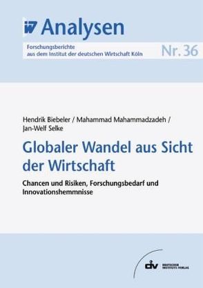 Globaler Wandel aus Sicht der Wirtschaft von Biebeler,  Hendrik, Mahammadzadeh,  Mahammad, Selke,  Jan W