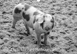 Glückliches Schweineleben (Posterbuch DIN A4 quer) von Kattobello,  k.A.