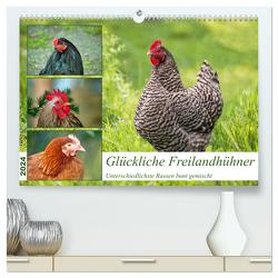 Glückliche Freilandhühner (hochwertiger Premium Wandkalender 2024 DIN A2 quer), Kunstdruck in Hochglanz von Kleemann,  Claudia