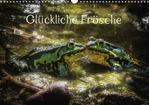 Glückliche Frösche (Wandkalender 2023 DIN A3 quer) von Gawlik,  Kathrin