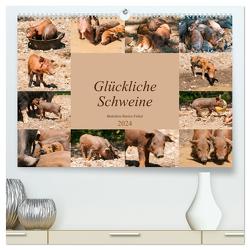 Glückliche Schweine Berkshire-Iberico Ferkel (hochwertiger Premium Wandkalender 2024 DIN A2 quer), Kunstdruck in Hochglanz von Bölts,  Meike