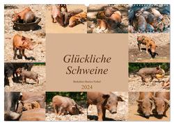 Glückliche Schweine Berkshire-Iberico Ferkel (Wandkalender 2024 DIN A2 quer), CALVENDO Monatskalender von Bölts,  Meike