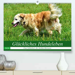 Glückliches Hundeleben (Premium, hochwertiger DIN A2 Wandkalender 2020, Kunstdruck in Hochglanz) von Glineur,  Jean-Louis