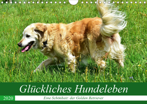Glückliches Hundeleben (Wandkalender 2020 DIN A4 quer) von Glineur,  Jean-Louis