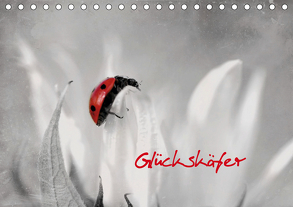 Glückskäfer (Tischkalender 2019 DIN A5 quer) von Hultsch,  Heike