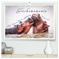 Glücksmomente Glücks-Zitate zu Fotos der großartigen südafrikanischen Tierwelt (hochwertiger Premium Wandkalender 2024 DIN A2 quer), Kunstdruck in Hochglanz von Innere Stärke,  Lebensfreude